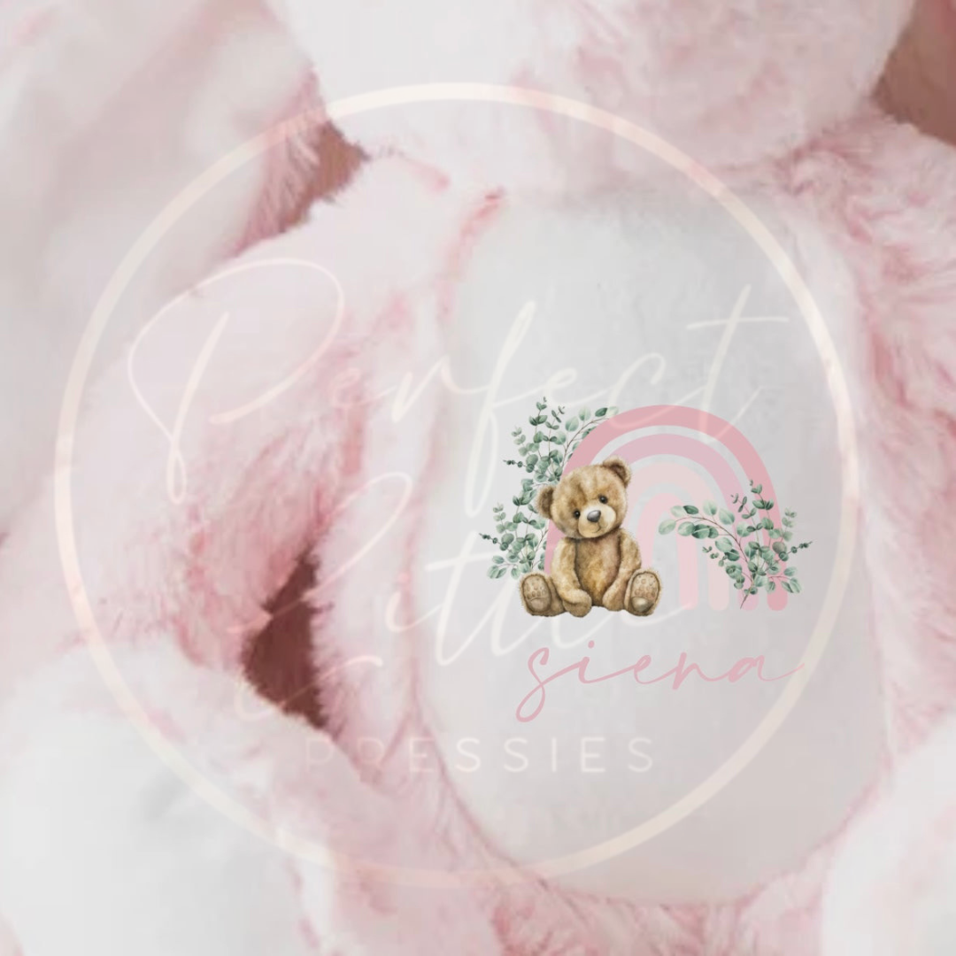 Teddy - Pink Rainbow Bear