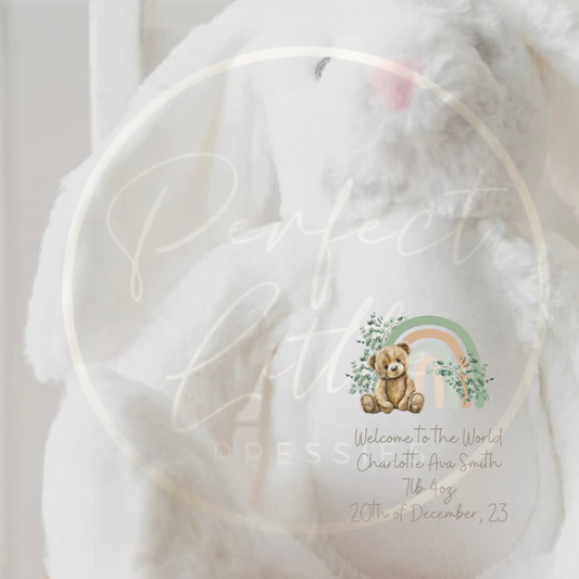 Teddy - Sage Rainbow Bear