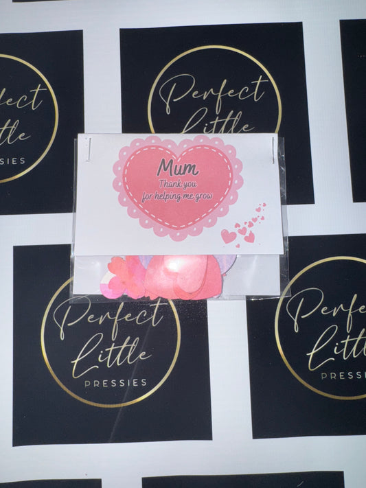 SALE - Mum Plantable Seeds