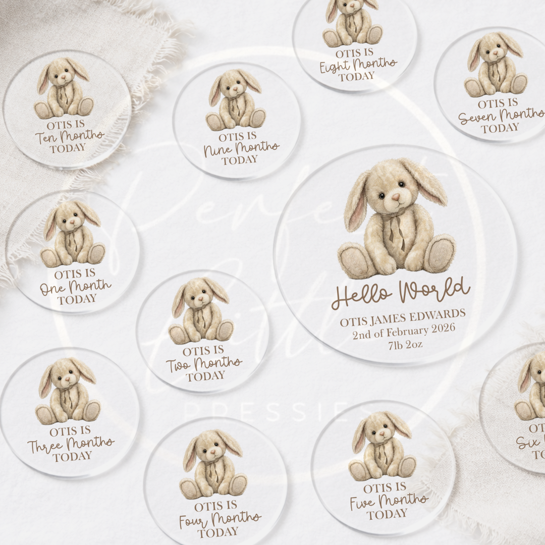 Acrylic Milestone Disc Set