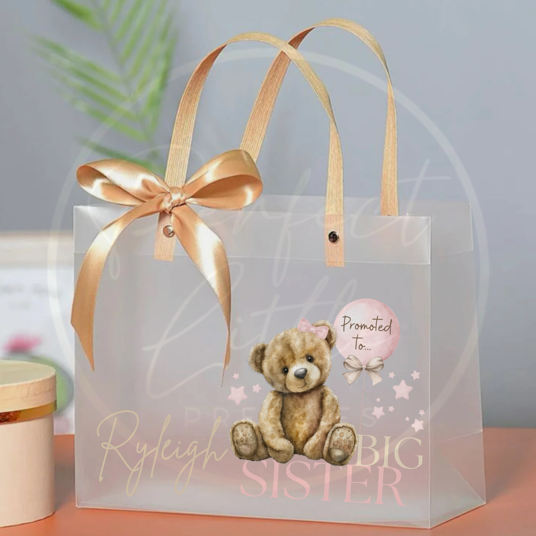 Frosted Gift Bag - Big Brother/Big Sister
