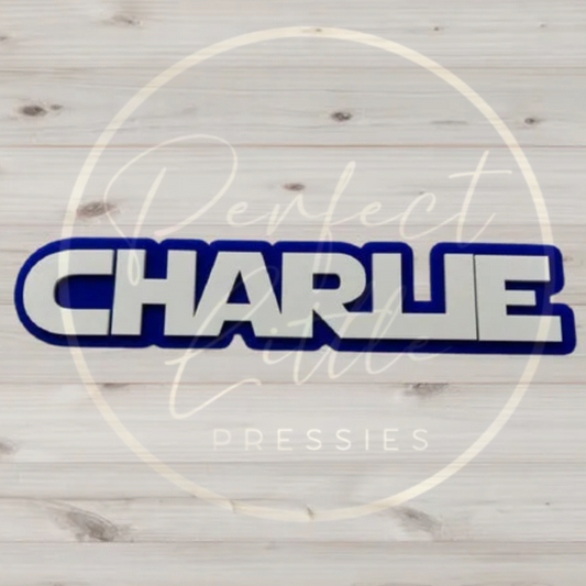 3D Acrylic Name Sign