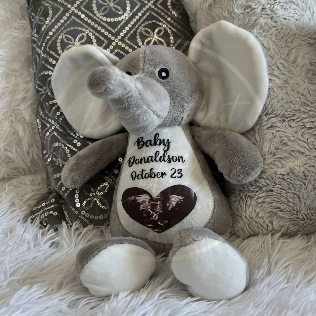 Baby Scan Photo Teddy Bear