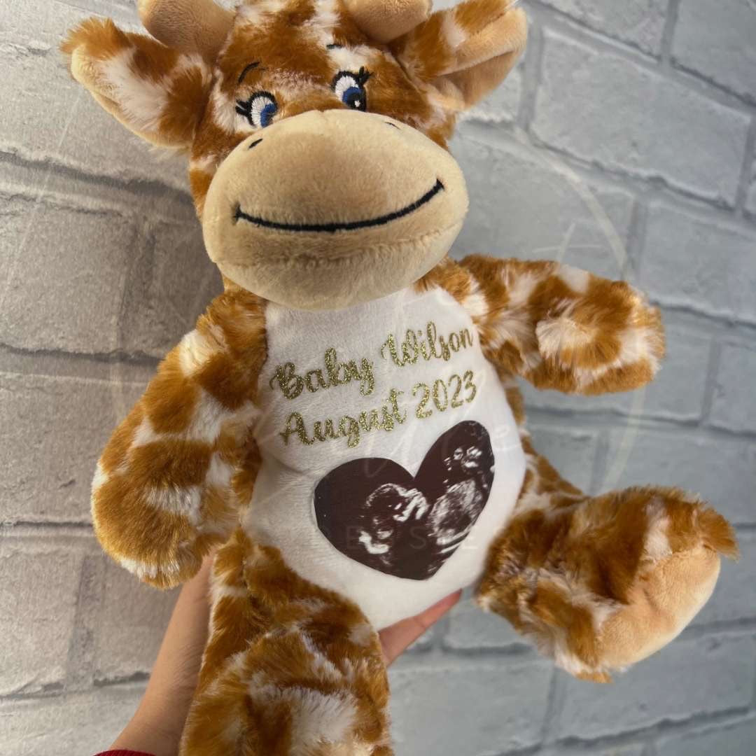 Baby Scan Photo Teddy Bear