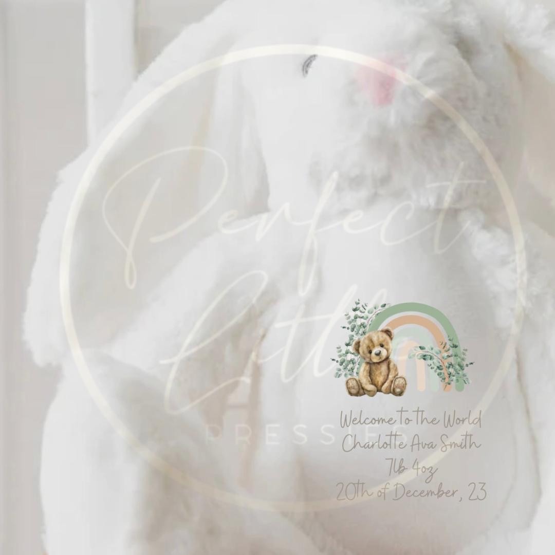 Teddy - Sage Rainbow Bear