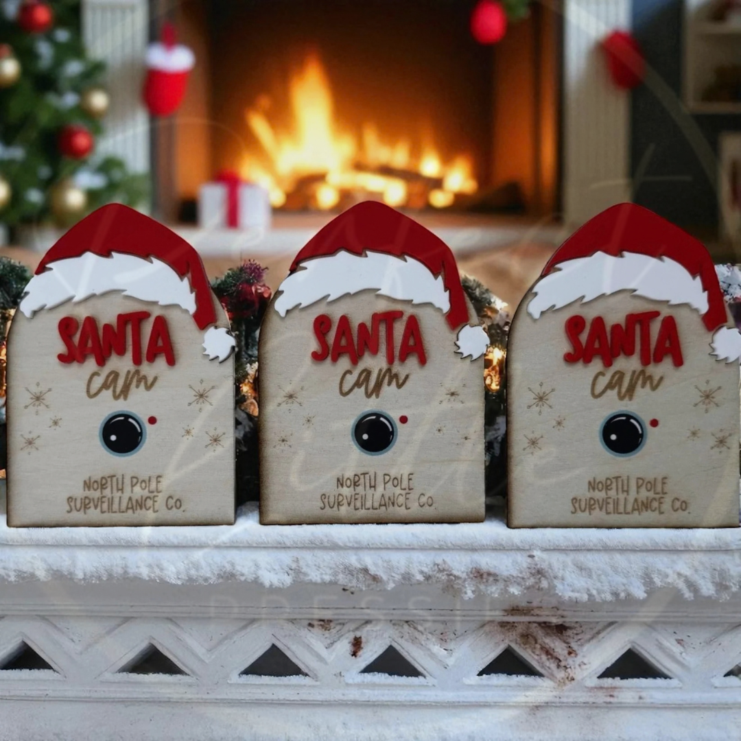 Christmas - Regular Santa Cam