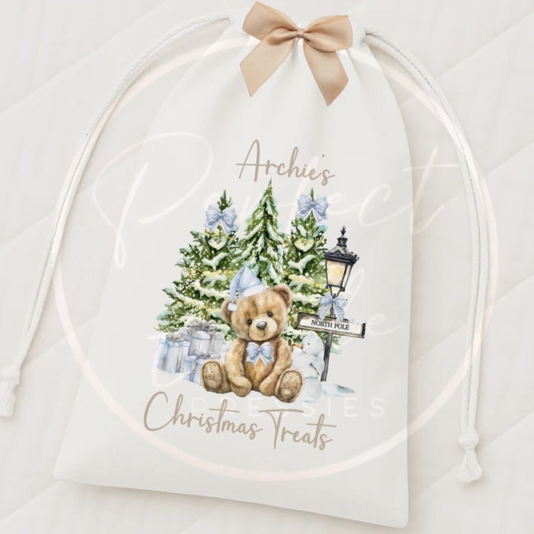 Christmas Drawstring Bag - Blue North Pole Bear