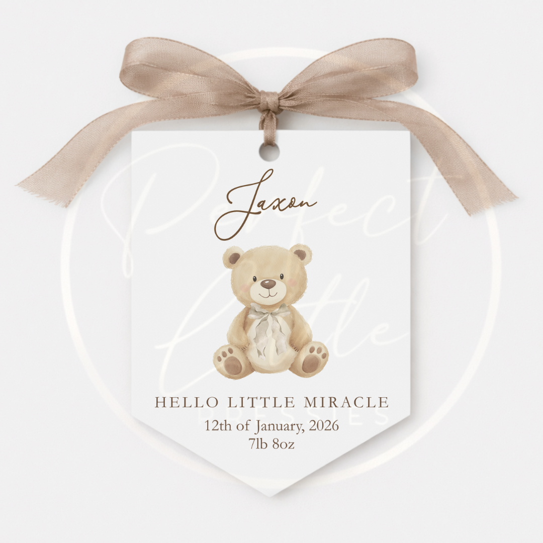 Hanging Pendant - Soft Bow Bear