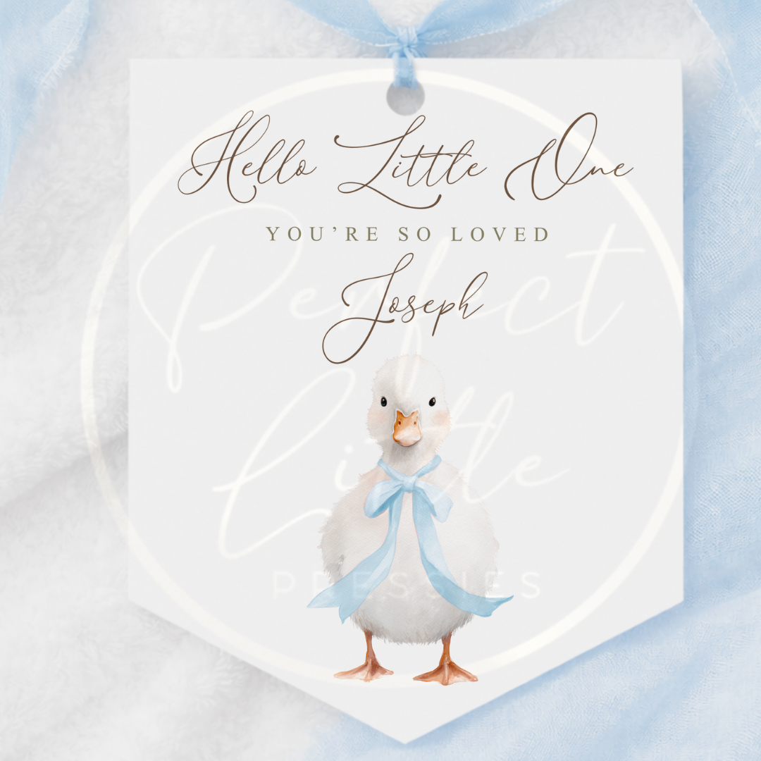 Hanging Pendant - Soft Duckling