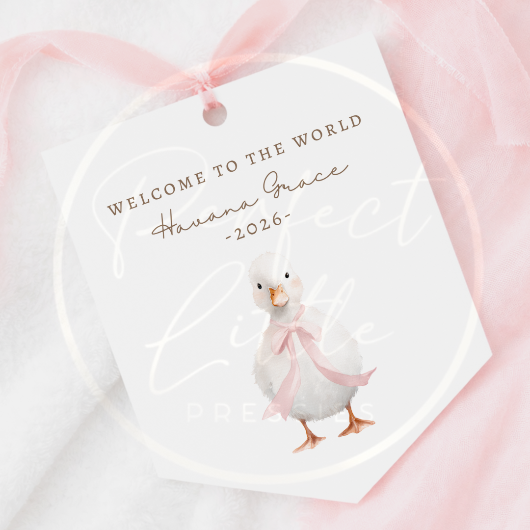 Hanging Pendant - Soft Duckling
