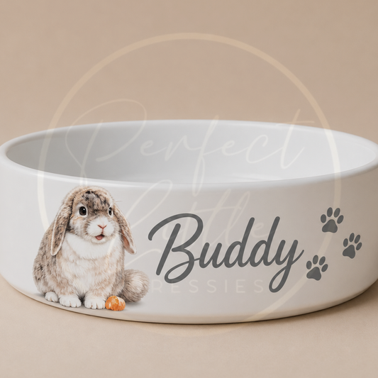 PET - Custom Cartoon Bunny Pet Bowl