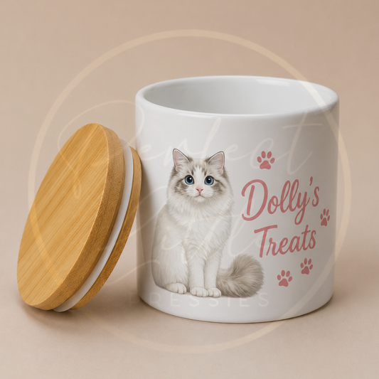 PET - Custom Cartoon Cat Treat Jar