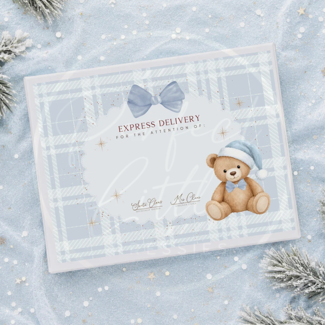 Christmas - Blue Gingham Bear Express Delivery Box