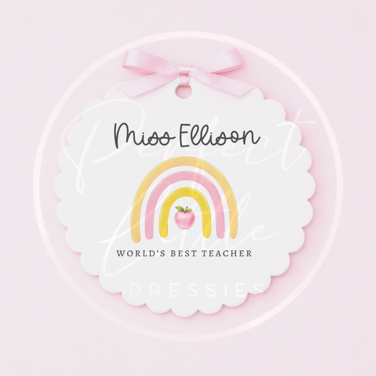 Teacher - Apple Rainbow Disc