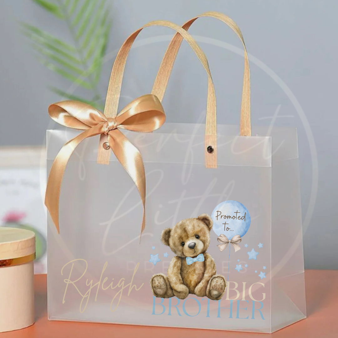 Frosted Gift Bag - Big Brother/Big Sister