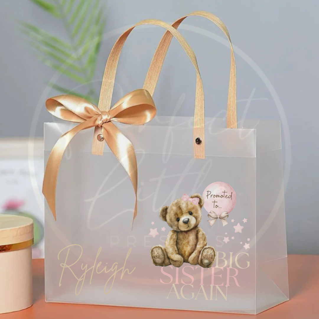 Frosted Gift Bag - Big Brother/Big Sister