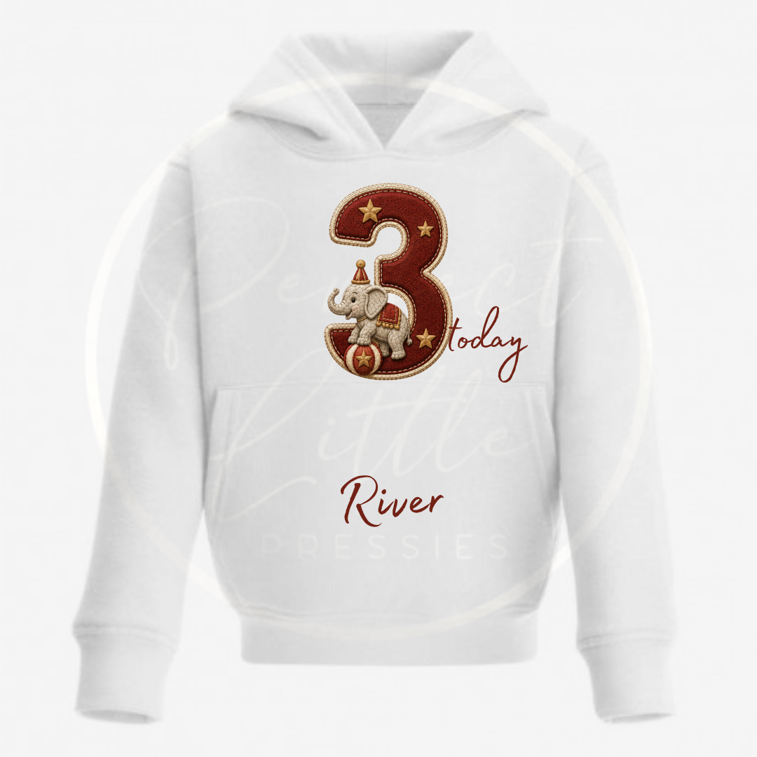Kids Hoodie - Vintage Circus Birthday