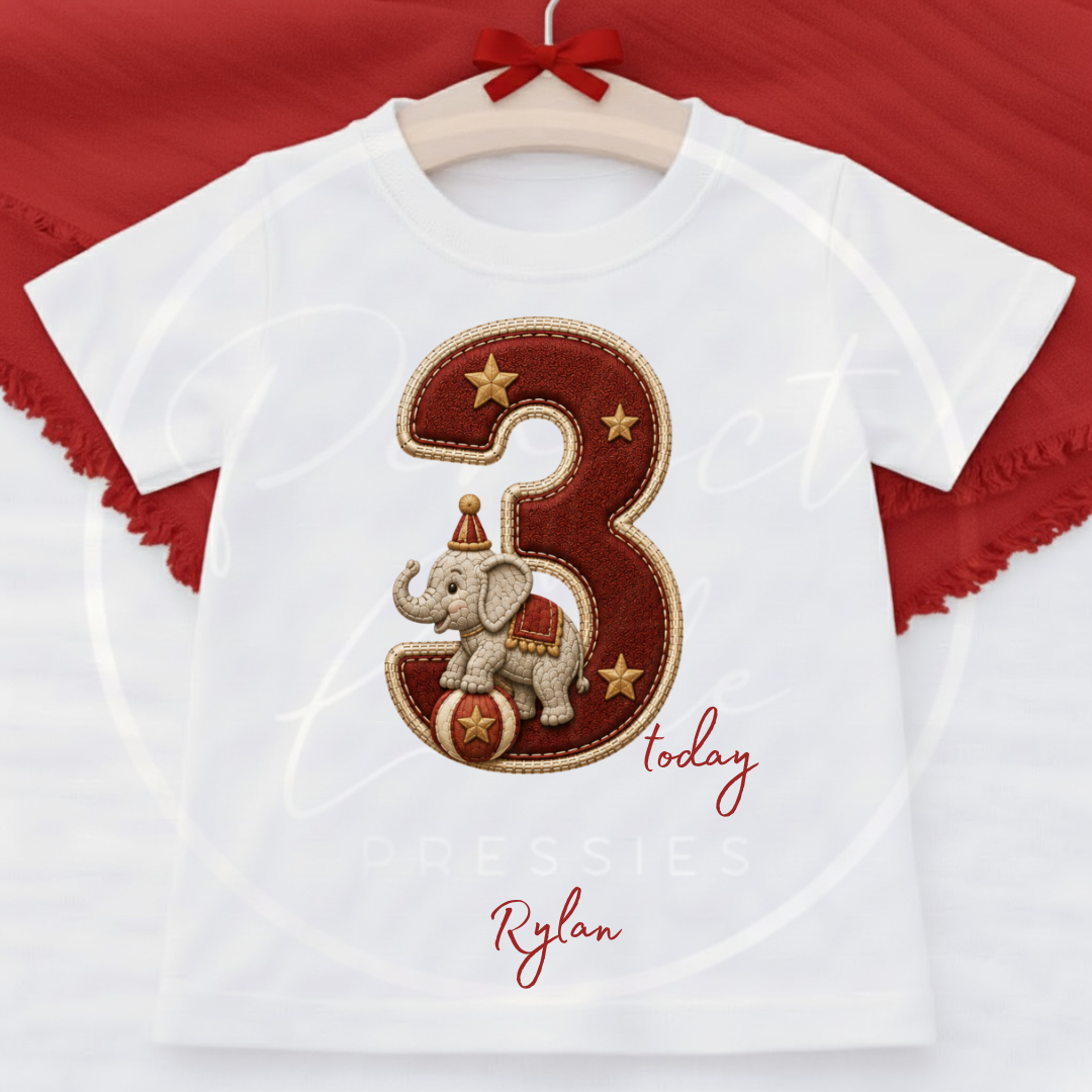 Kids - Birthday T-Shirt Vintage Circus Designs